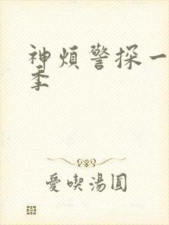 神烦警探一共几季