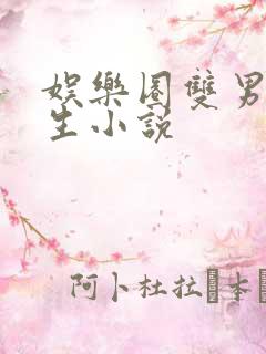 娱乐圈双男主重生小说