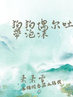 狗狗偶尔吐黄水带泡沫