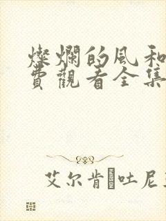 灿烂的风和海免费观看全集