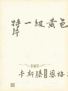 特一级黄色生活片