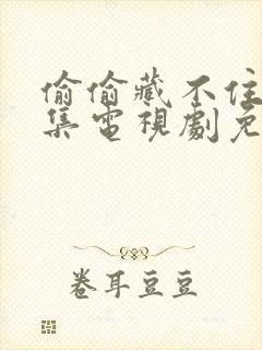 偷偷藏不住40集电视剧免费观看完整版