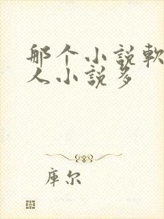 那个小说软件同人小说多