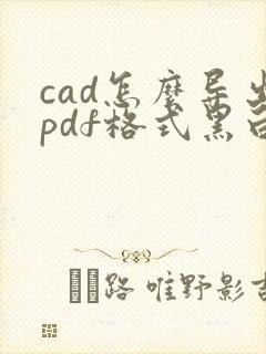 cad怎么导出pdf格式黑白