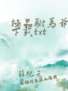 极品驸马爷免费下载txt