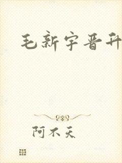 毛新宇晋升中将