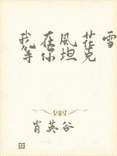 我在风花雪月里等你坦克