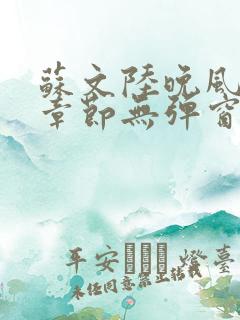 苏文陆晚风最新章节无弹窗笔趣阁