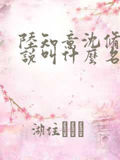 陆知意沈修文小说叫什么名字