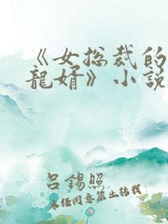 《女总裁的上门龙婿》小说