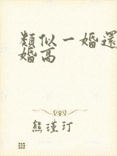 类似一婚还比一婚高