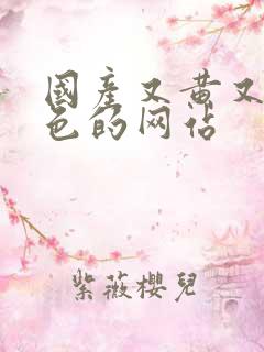 国产又黄又爽又色的网站