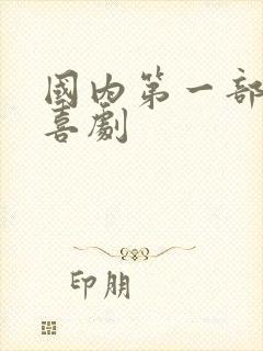 国内第一部情景喜剧