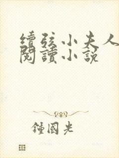 续弦小夫人在线阅读小说