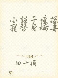 小说千亿总裁独宠替身娇妻全文阅读