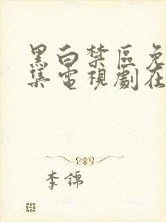 黑白禁区免费全集电视剧在线观看