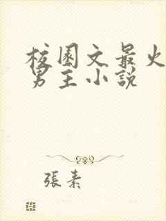 校园文最火的双男主小说