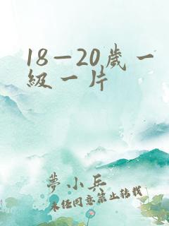 18—20岁一级一片