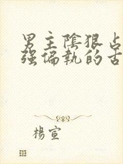 男主阴狠占有欲强偏执的古言