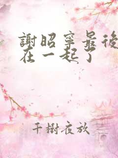 谢昭宁最后和谁在一起了