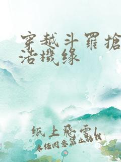 穿越斗罗抢霍雨浩机缘