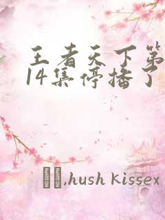 王者天下第5季14集停播了吗