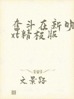 奋斗在新明朝txt精校版