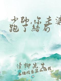 少帅,你老婆又跑了结局