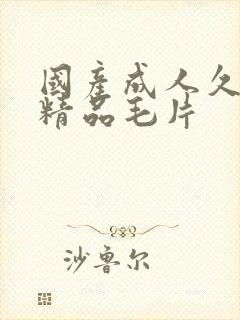 国产成人久久久精品毛片