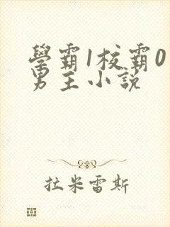 学霸1校霸0双男主小说