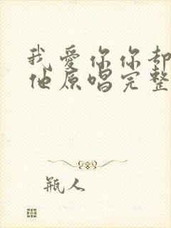 我爱你你却爱着他原唱完整版