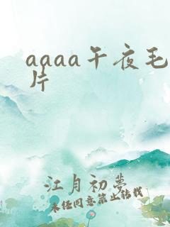 aaaa午夜毛片