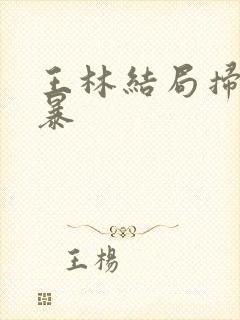 王林结局扫毒风暴