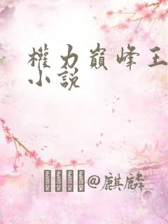 权力巅峰王洪涛小说