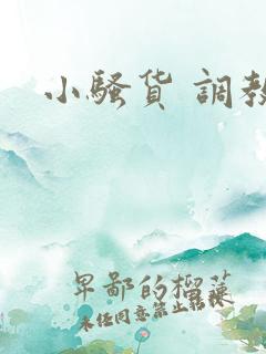 小骚货 调教