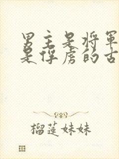 男主是将军女主是俘虏的古言