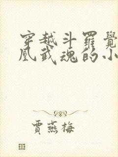 穿越斗罗觉醒凤凰武魂的小说