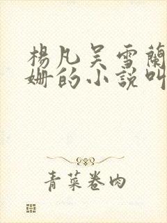 杨凡吴雪兰朱姗姗的小说叫什么