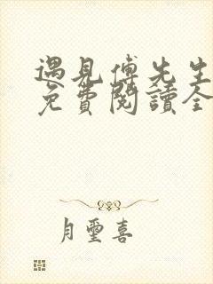 遇见傅先生小说免费阅读全文