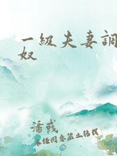 一级夫妻调教男奴