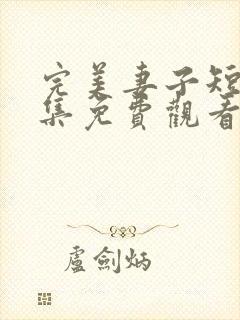 完美妻子短剧全集免费观看