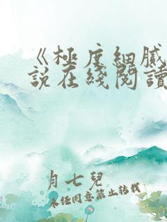 《极度细腻》小说在线阅读