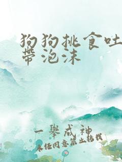 狗狗挑食吐黄水带泡沫