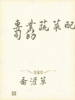 专业蔬菜配送公司的