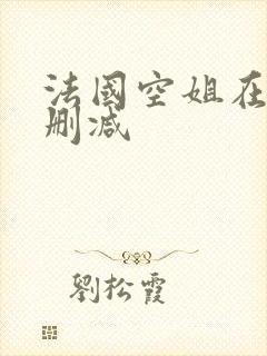 法国空姐在线无删减