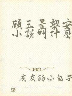 顾玉晨黎安蒋怡小说叫什么名字啊