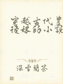 穿越古代农家成后娘的小说