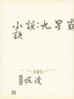小说:九星霸体诀