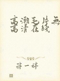 高潮毛片无遮挡高清在线
