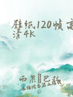 壁纸120帧高清4k